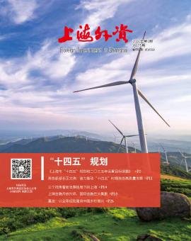 《上海外资》2021年第1期